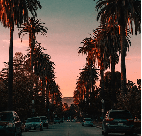 Florida Handicap Parking Permit