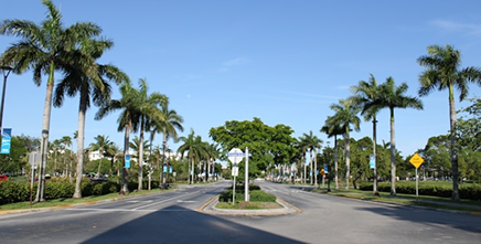 Miami Handicap Parking Permit