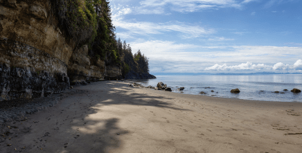 ben t. davis beach (courtney campbell trail)