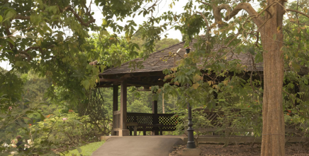 kathryn abbey hanna park