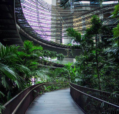 Myriad Botanical Gardens