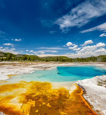 yellowstone national park, montana